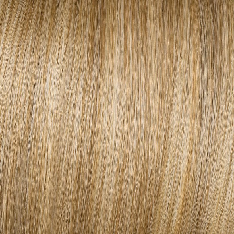 Alluring Locks Wig By Gabor | Synthetic (Lace Front Mono)