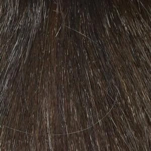 Bianca Wig by Envy | Synthetic (Open Top)