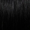 LFHH-Daisy | Human Hair Lace Front Wig (Basic Cap) | DISCONTINUED