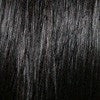 LFHH-Daisy | Human Hair Lace Front Wig (Basic Cap) | DISCONTINUED