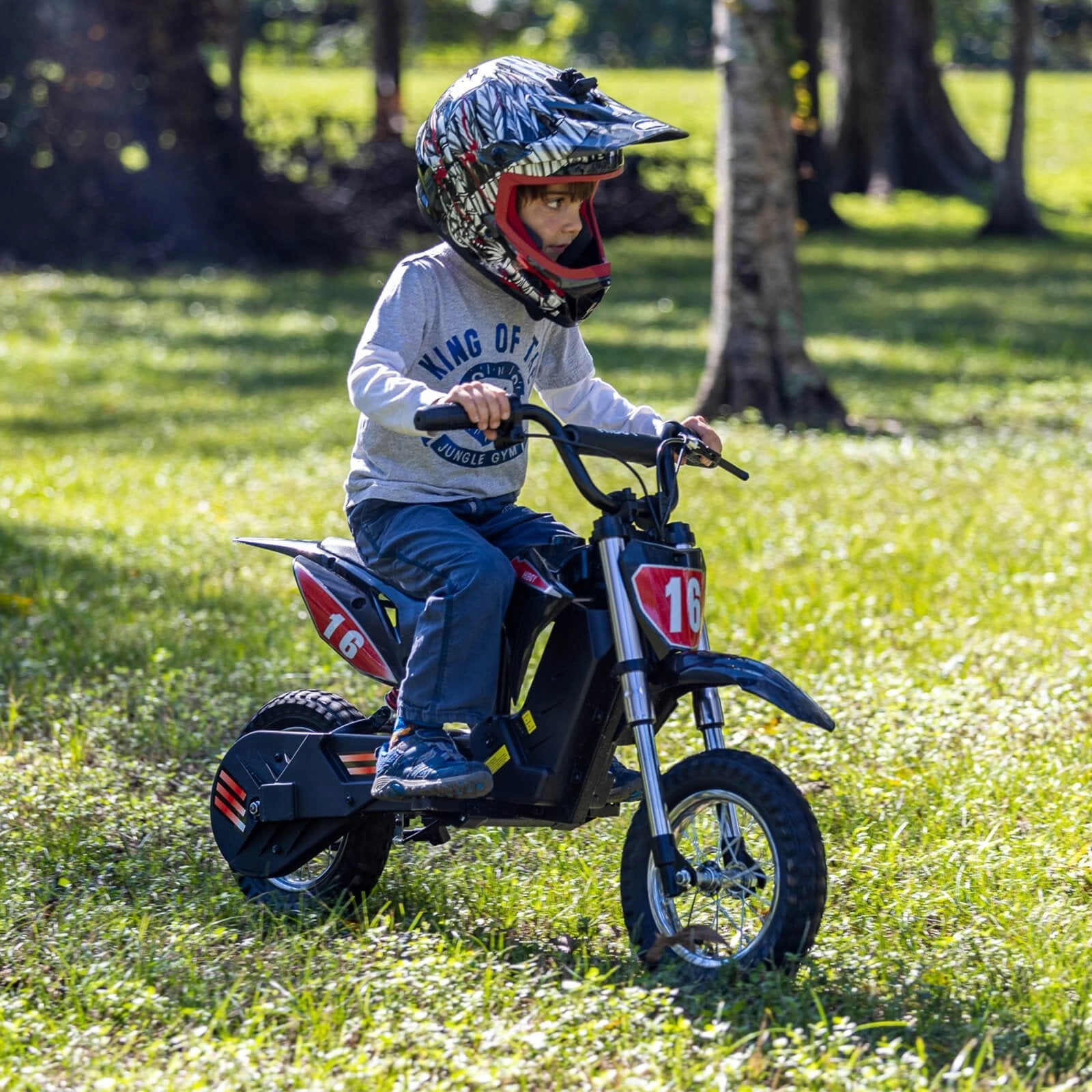 Local Pick Up Hiboy DK1 Refurbished Electric Dirt Bike