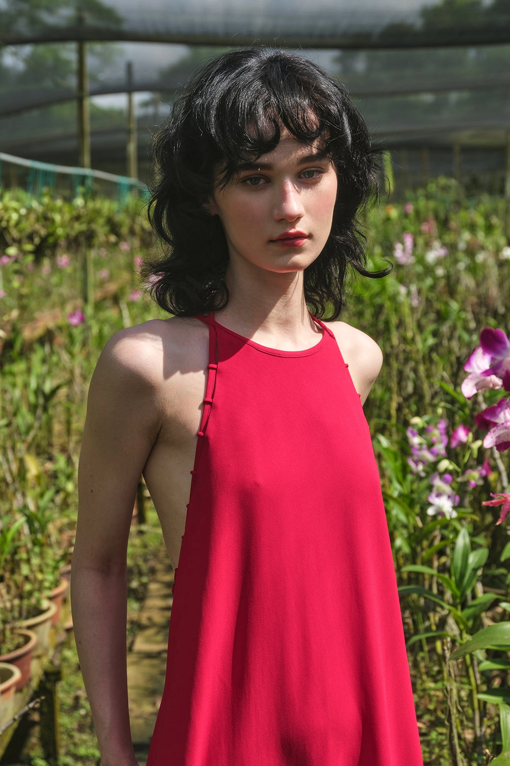 MIA DRESS
