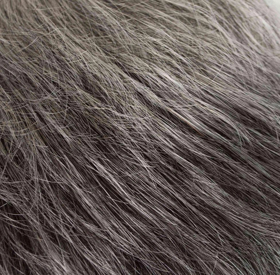 Pixie Wig by Tony of Beverly | Synthetic Wig (Traditional Cap)