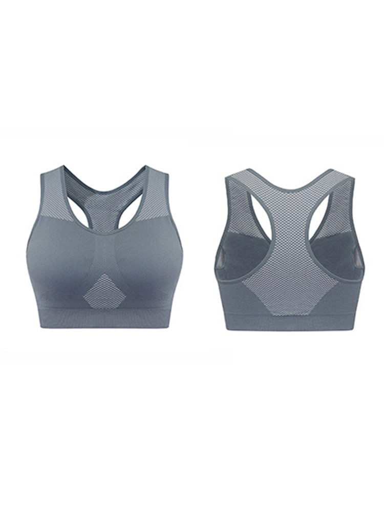 Seamless Mesh Panel Sports Bra