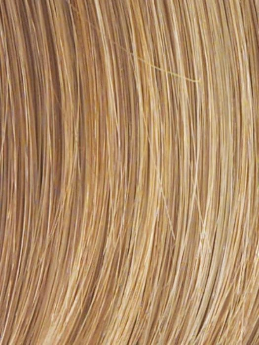 Style Society Wig by Raquel Welch | Signature Collection Heat Friendly Synthetic Lace Front (Mono)