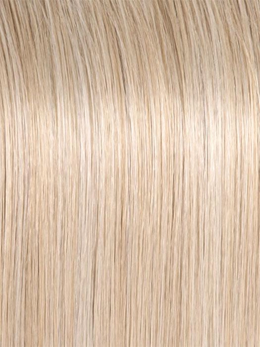 Style Society Wig by Raquel Welch | Signature Collection Heat Friendly Synthetic Lace Front (Mono)